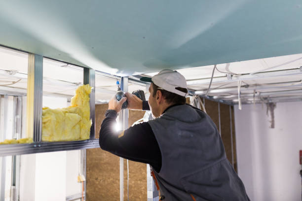 Best Insulation Contractors for Homes  in Leetonia, OH