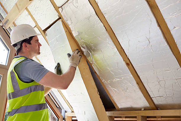 Best Insulation for New Construction  in Leetonia, OH